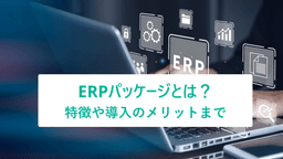 ERPパッケージとは?特徴や導入のメリットについて解説